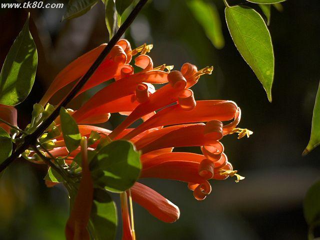 ファイル 591-1.jpg