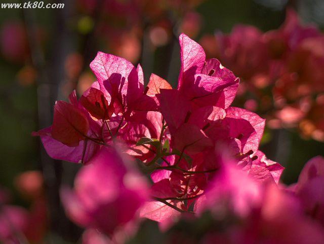 ファイル 591-4.jpg