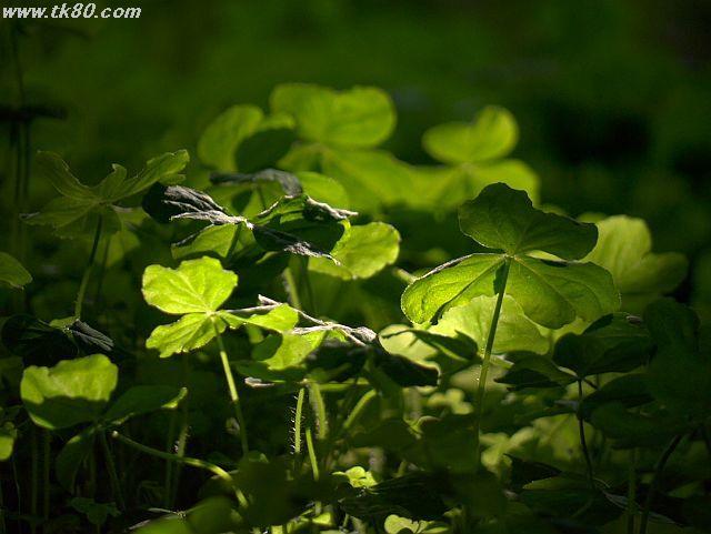 ファイル 591-5.jpg