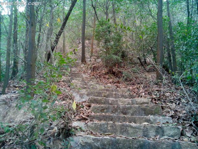 ファイル 592-1.jpg