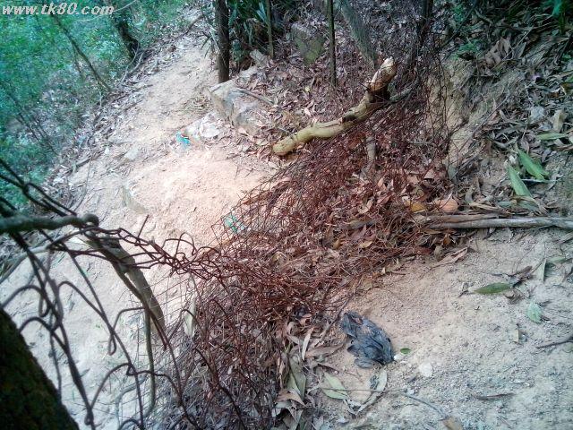 ファイル 592-2.jpg