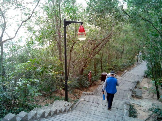 ファイル 592-3.jpg