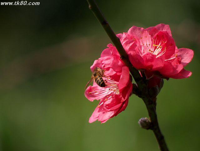 ファイル 593-1.jpg