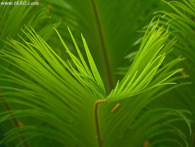 ãã¡ã€ã« 619-1.jpg