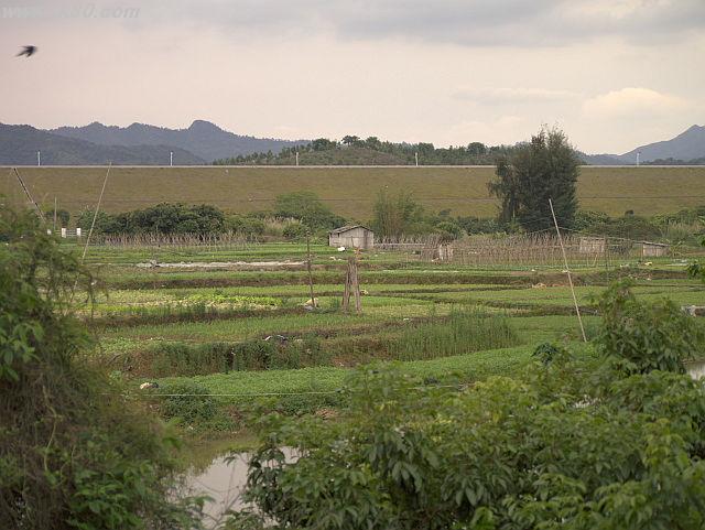 ãã¡ã€ã« 620-1.jpg