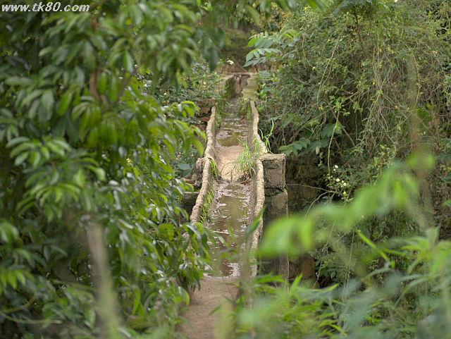 ãã¡ã€ã« 620-2.jpg