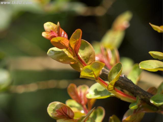 ãã¡ã€ã« 621-1.jpg