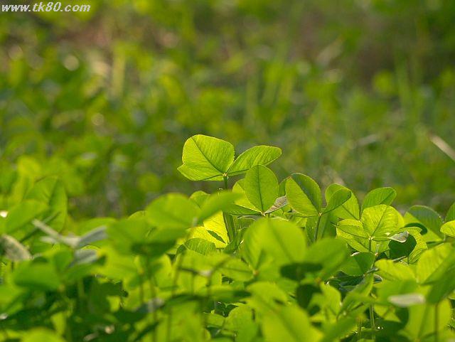 ãã¡ã€ã« 622-1.jpg