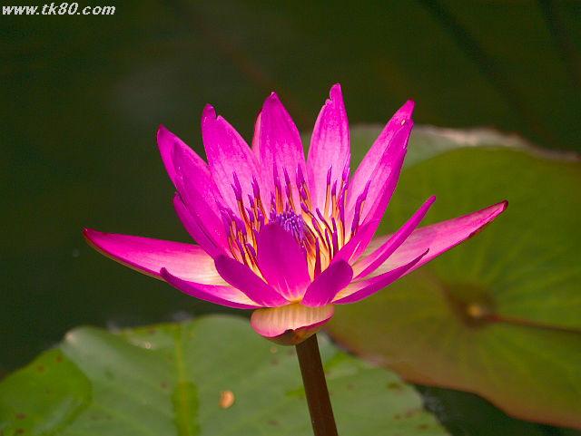 ãã¡ã€ã« 624-1.jpg