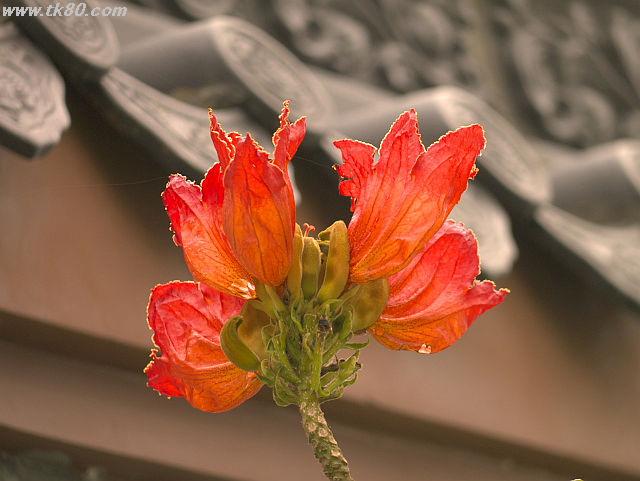 ãã¡ã€ã« 624-3.jpg