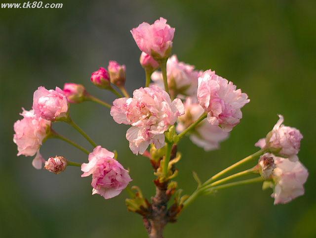 ãã¡ã€ã« 625-2.jpg