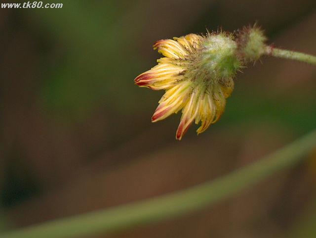 ãã¡ã€ã« 626-3.jpg