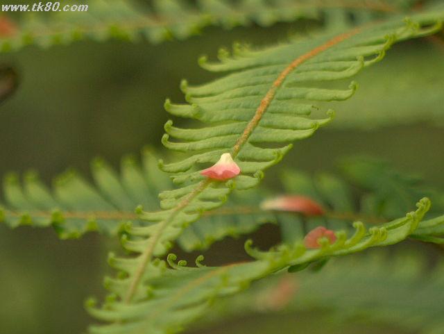 ãã¡ã€ã« 627-1.jpg