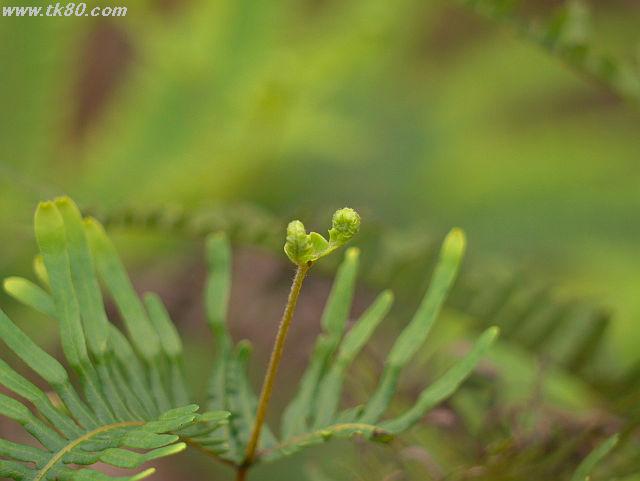 ãã¡ã€ã« 627-3.jpg