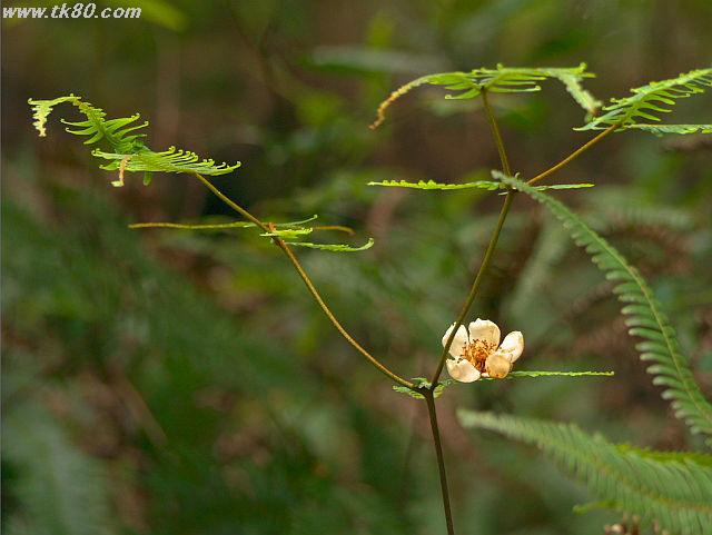 ãã¡ã€ã« 627-4.jpg