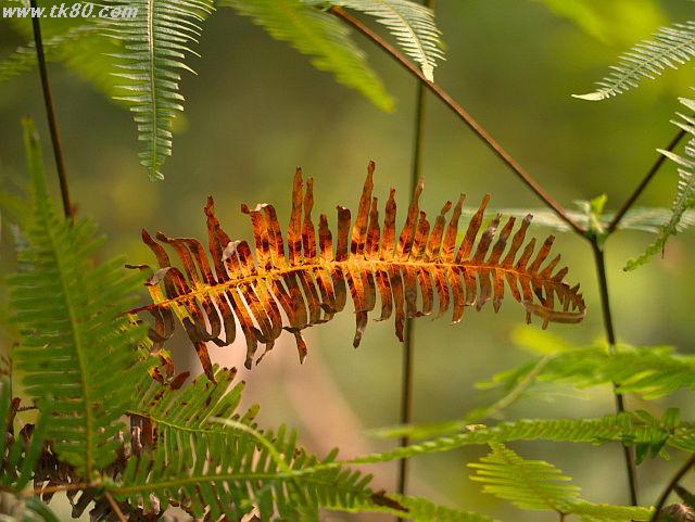 ãã¡ã€ã« 627-5.jpg