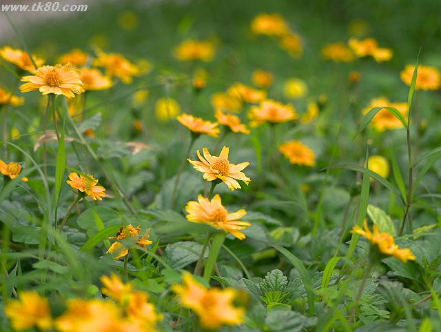 ãã¡ã€ã« 628-2.jpg