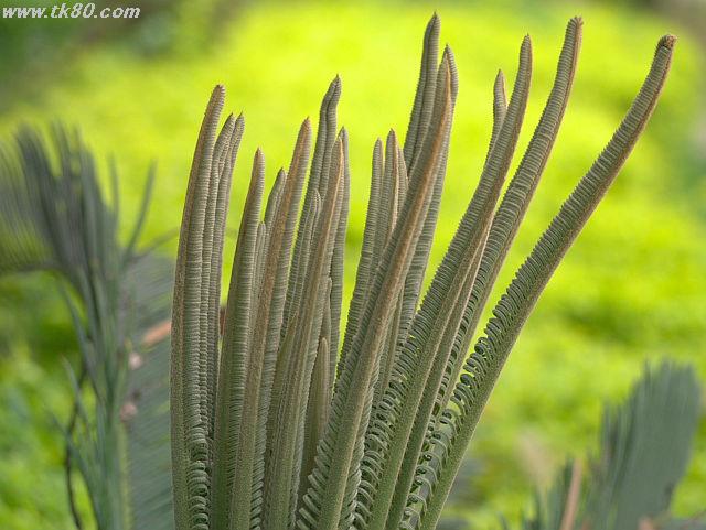 ãã¡ã€ã« 628-3.jpg