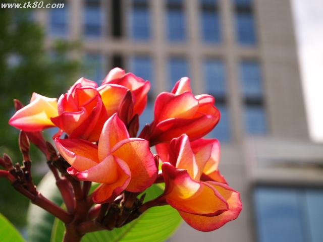 ファイル 652-1.jpg