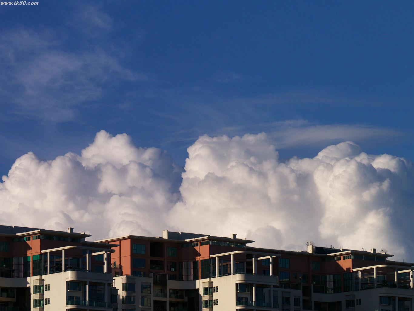 ファイル 654-1.jpg