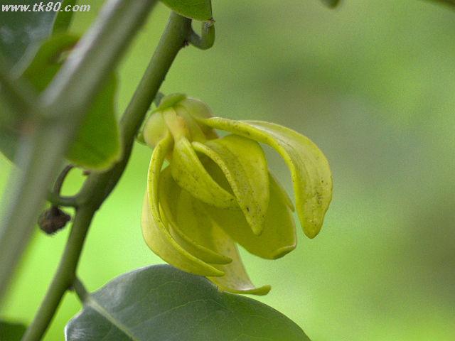 ファイル 656-1.jpg