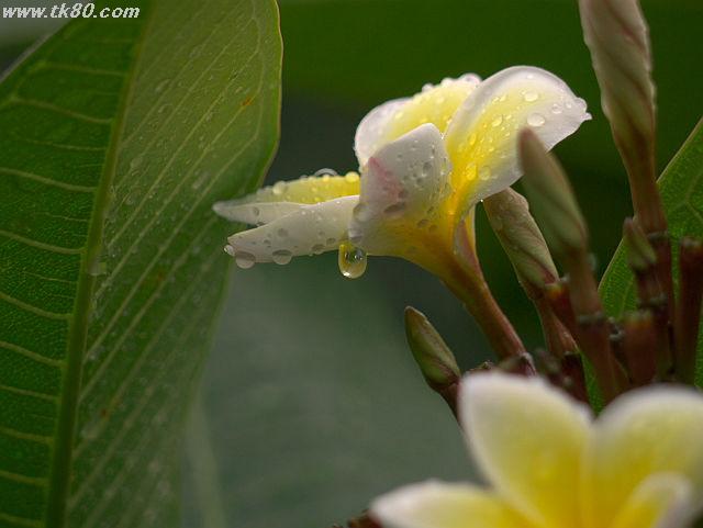 ファイル 658-1.jpg