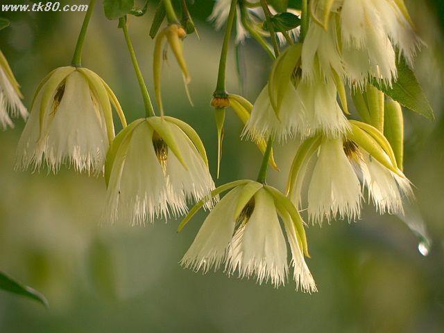 ファイル 658-2.jpg