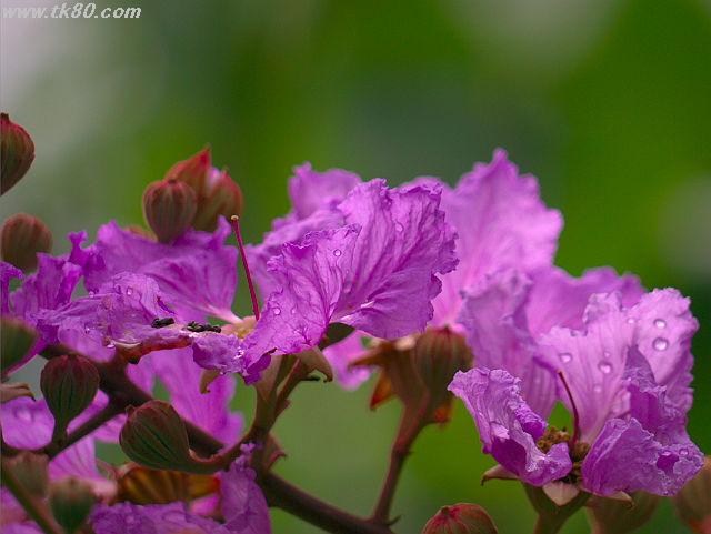 ファイル 658-3.jpg