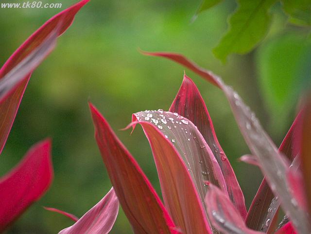 ファイル 658-4.jpg