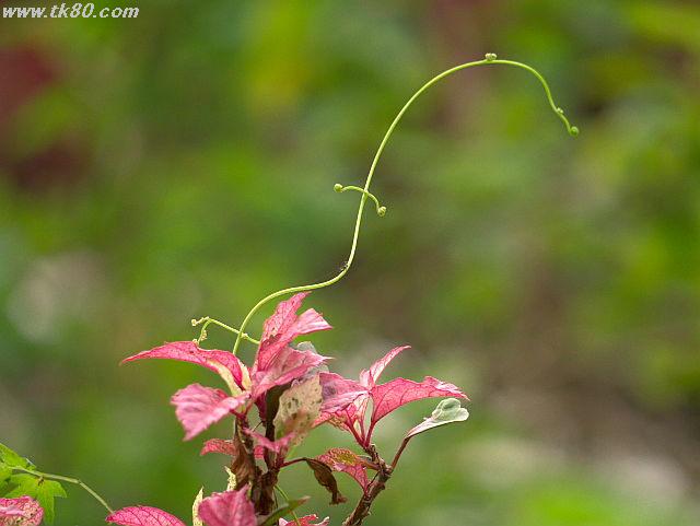 ファイル 658-5.jpg