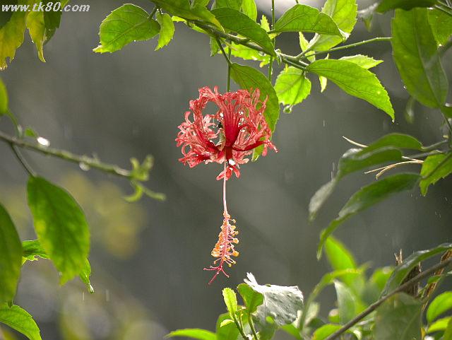 ファイル 660-1.jpg