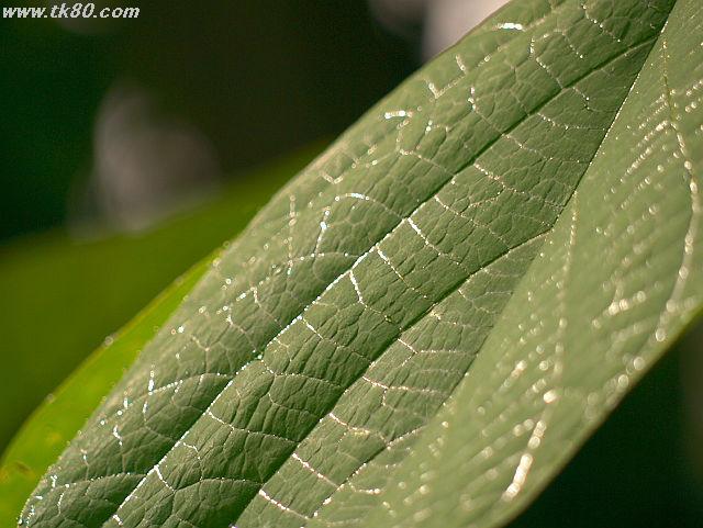 ファイル 660-2.jpg