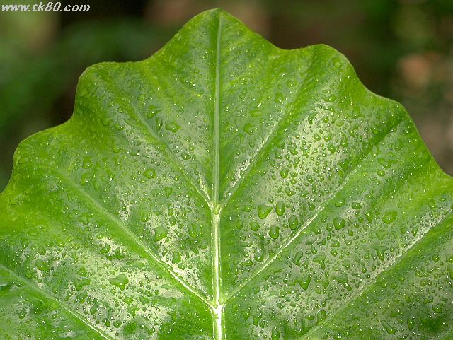 ファイル 660-3.jpg