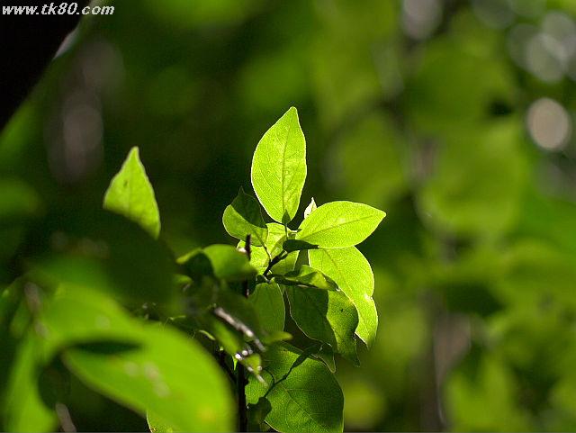 ファイル 660-5.jpg