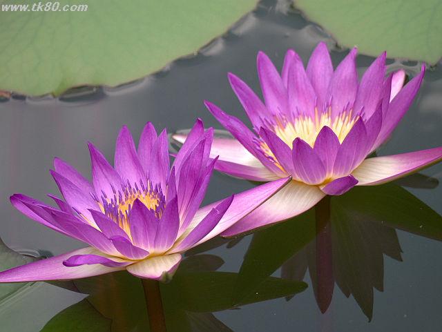 ãã¡ã€ã« 666-1.jpg