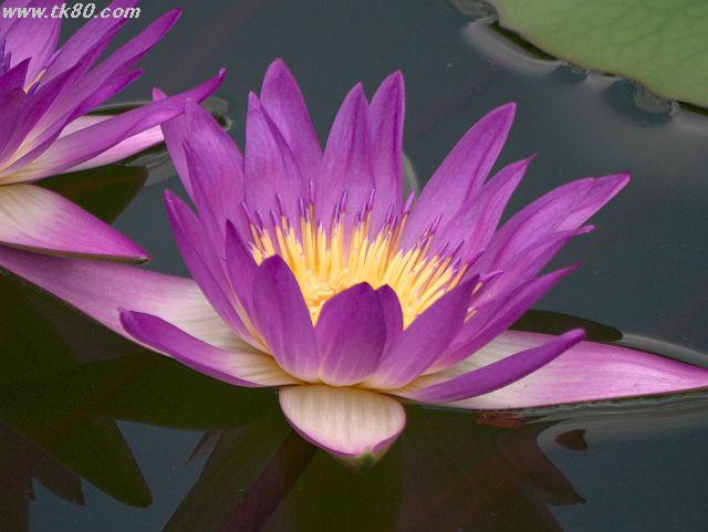 ãã¡ã€ã« 666-2.jpg