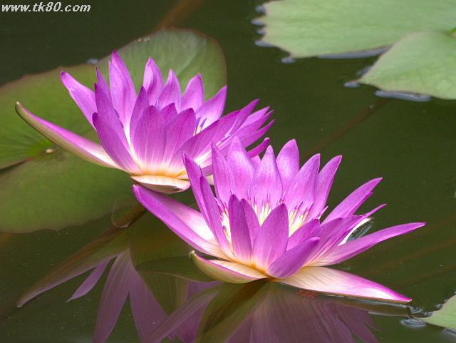 ãã¡ã€ã« 666-3.jpg