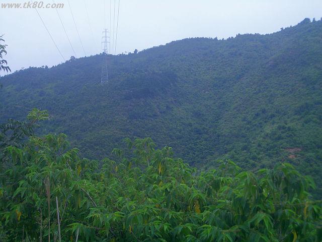 ãã¡ã€ã« 668-2.jpg