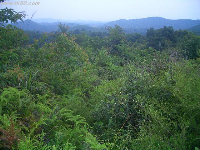 ãã¡ã€ã« 668-4.jpg