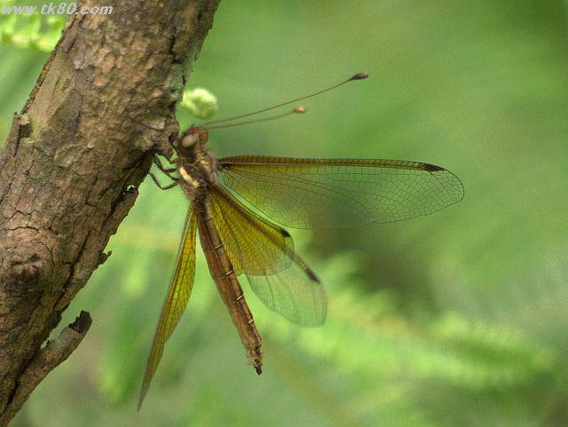 ãã¡ã€ã« 669-1.jpg