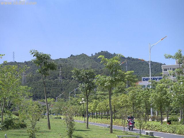 ãã¡ã€ã« 680-2.jpg