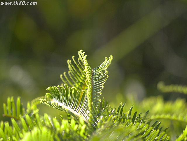 ãã¡ã€ã« 681-5.jpg