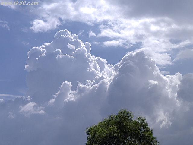 ãã¡ã€ã« 684-3.jpg