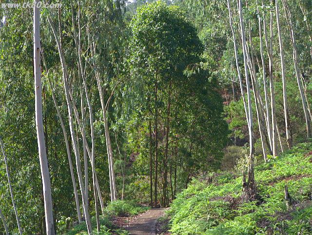 ãã¡ã€ã« 684-4.jpg