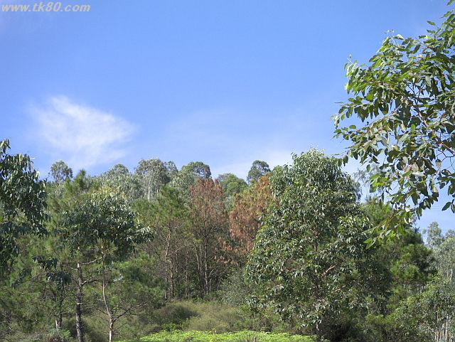 ãã¡ã€ã« 684-5.jpg