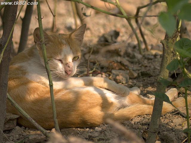 河川内で厳しい生活をする人々