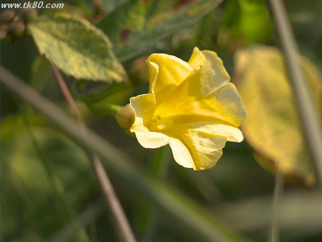 渡る世間ã¯é‡‘ã°ã‹ã‚Šãƒ»ãƒ»ãƒ» 渡る世間ã¯é‡‘ã°ã‹ã‚Šãƒ»ãƒ»ãƒ»