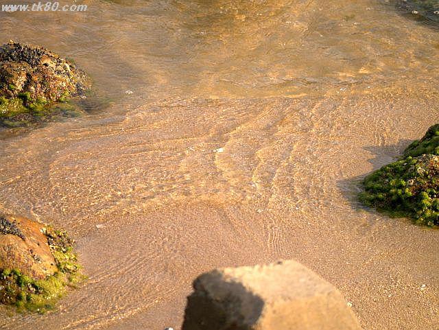 ãã¡ã€ã« 786-4.jpg