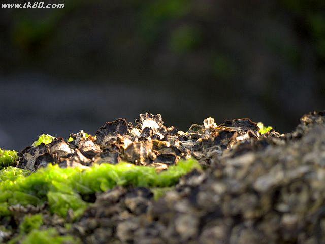 ãã¡ã€ã« 786-5.jpg