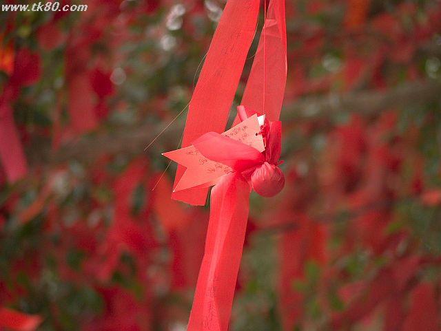 ãã¡ã€ã« 791-5.jpg